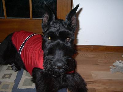diowcoat2.JPG